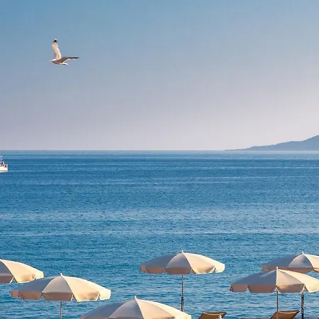 Hotell Barriere Le Gray D'albion
